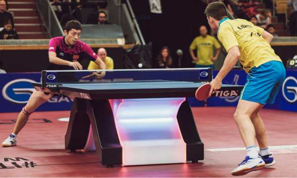 All About Table Tennis: A Practical Guide for Fans and Beginners