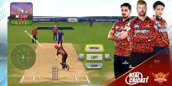 play cricket